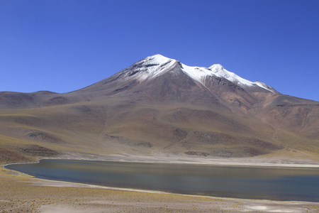 salar de 阿塔卡马