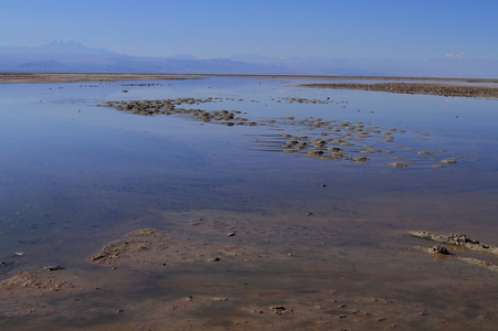 在佛兰明高储备在阿塔卡马 salar de flamengos