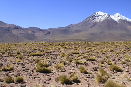 salar de 阿塔卡马