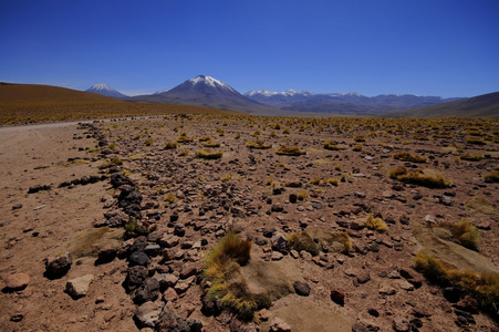 salar de 阿塔卡马