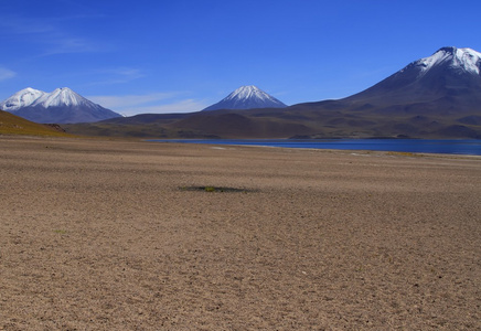 salar de 阿塔卡马