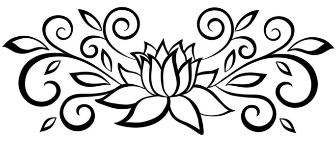 在白色隔离银莲花花画和素描与艺术线条在白色背景上黑色和白色图快乐