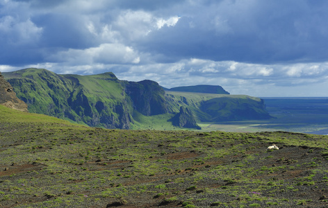 在 dyrholaey，冰岛南部海岸的视图