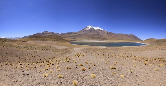 salar de 阿塔卡马