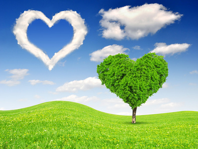 树在心的形状照片