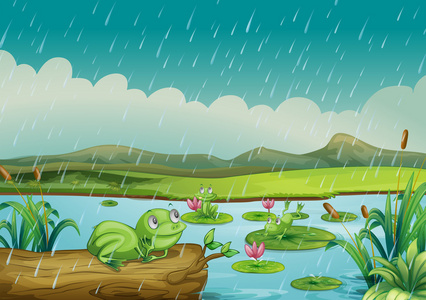 三个青蛙享受雨滴