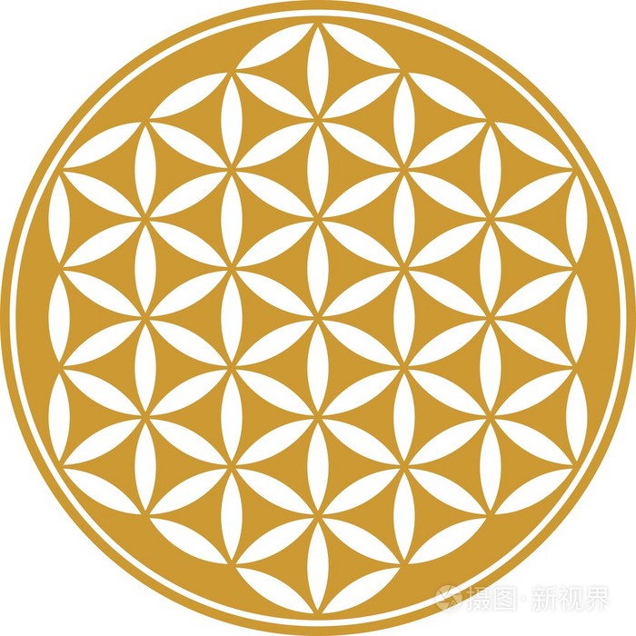 生活-神圣几何-象征和谐与平衡之花