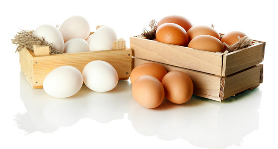 多鸡蛋在框上白色隔离
