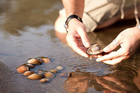 男子从河里小水域捡贝壳入野生系列。