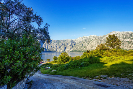 美丽的小山和海景