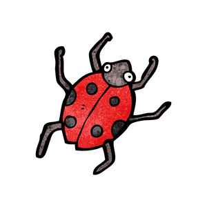 红瓢虫甲虫