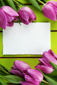 束美丽的紫色郁金香和空白卡上绿色木质背景