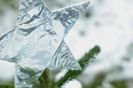 铝铝箔星级与雪和草树上图片