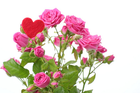 浪漫的心符号和鲜花在情人节快乐上照片