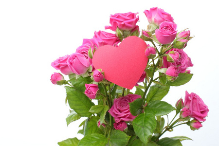 浪漫的心符号和鲜花在情人节快乐上