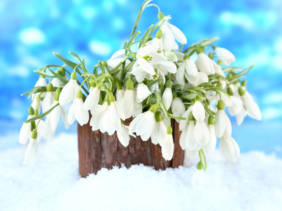 雪花莲与雪，在明亮的背景上的花瓶里的花束