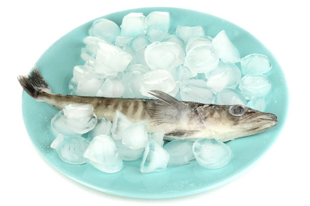 在冰上白色隔离板冷冻的鱼