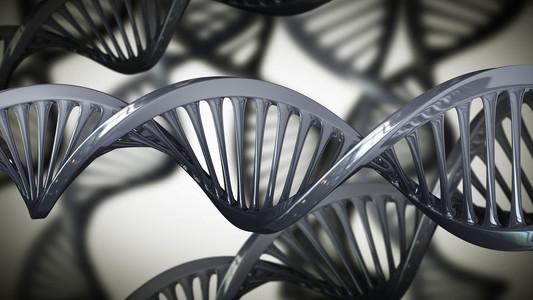 银 dna 螺旋照片