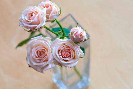 在一个木制的桌子上的花瓶粉色玫瑰