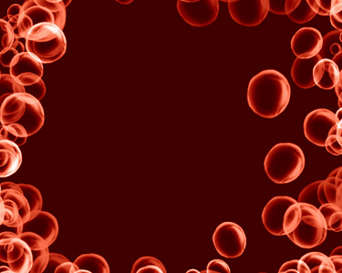 红色的血液细胞