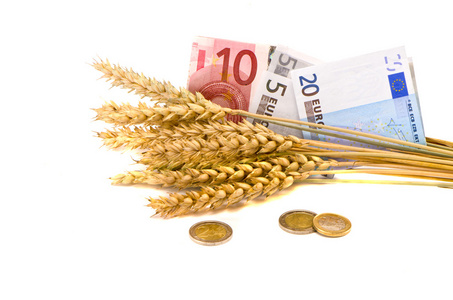 农业商业符号小麦的耳朵和欧元