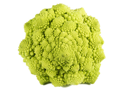 romanescu 白上孤立