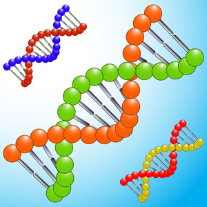 dna 图标