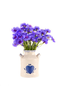 蓝色矢花束在花瓶上白色隔离
