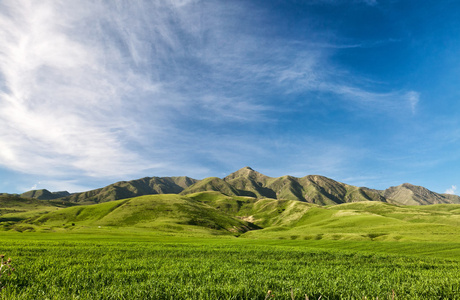 landcscape 高山区。在字段中景观