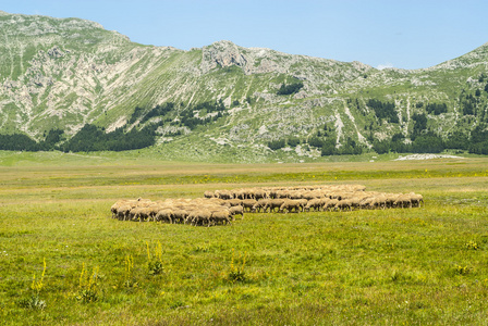 景观的 campo imperatore