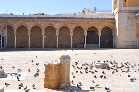 清真寺 zitouna.tunis