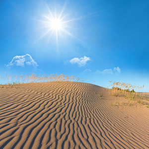 夏天热的沙漠场景