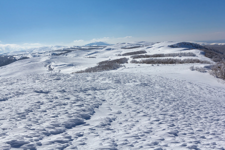 山中雪