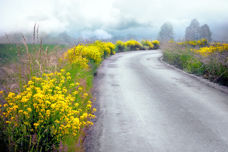 在夏天的乡村道路