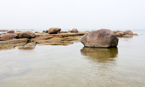 在天气多雾的岩石海岸