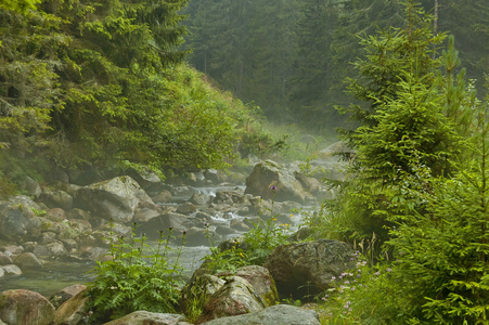 雾在山中河