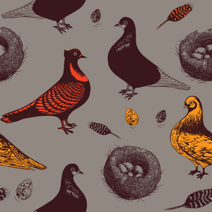 鸽子和巢。无缝模式。矢量插画