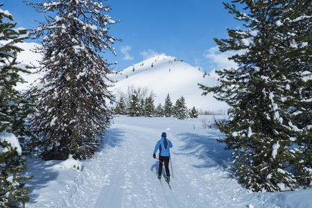 在一个完美的冬日的越野滑雪运动员