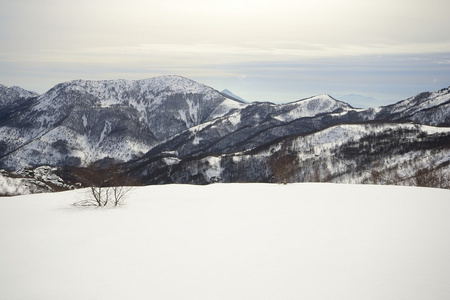 在冬天的高山种