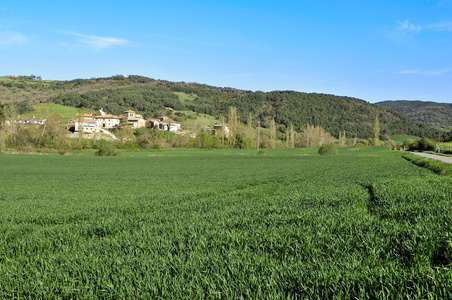 夏天农村风景的 guipuzcoa