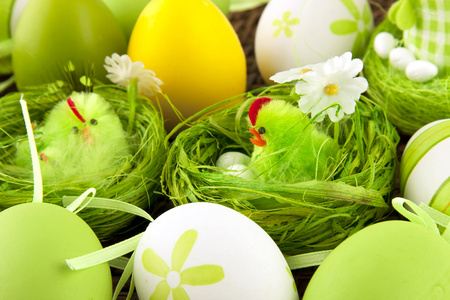 复活节装饰用鸡和蛋的颜色