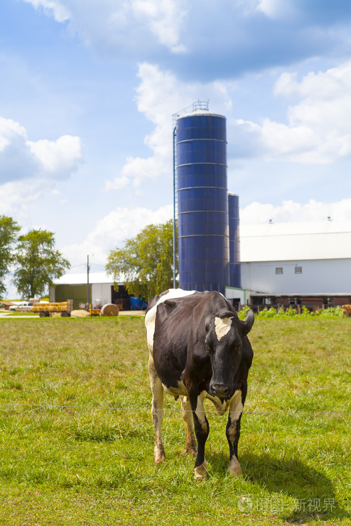 传统美国白人农场在夏天