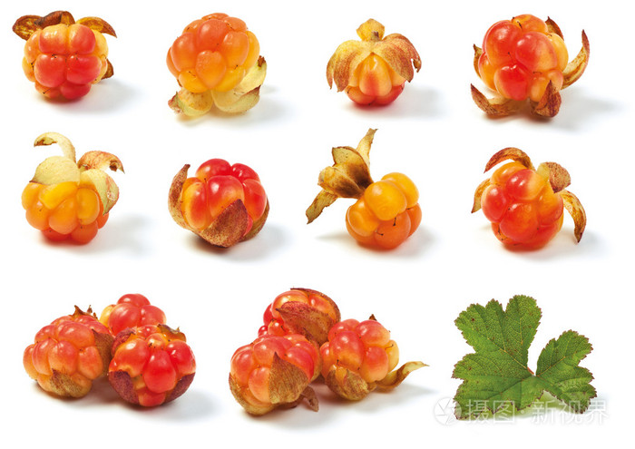 各种野生cloudberries