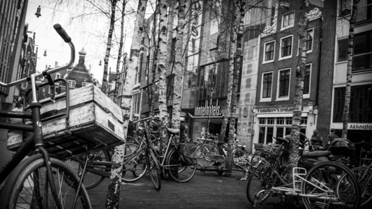 在阿姆斯特丹的自行车
