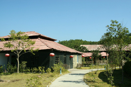 竹 木建筑景观 武夷山 福建箕