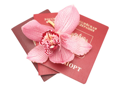兰花和护照