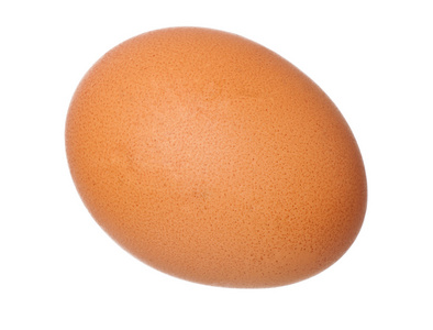 在白色背景上的棕色蛋