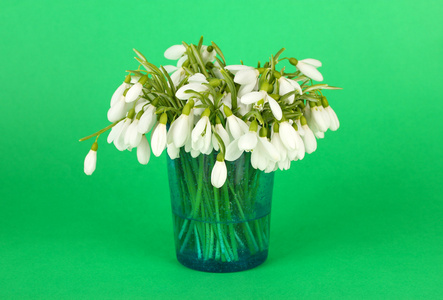 雪花莲的玻璃花瓶，颜色背景上的花束