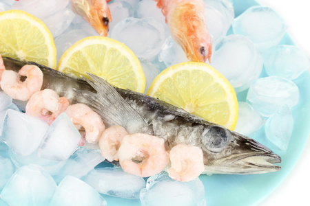 冷冻虾图片-冷冻虾素材-冷冻虾插画-摄图新视界