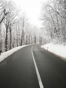 雪路和森林